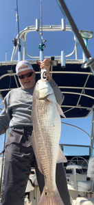 Pensacola fishing: the Gulf’s best-kept secret!